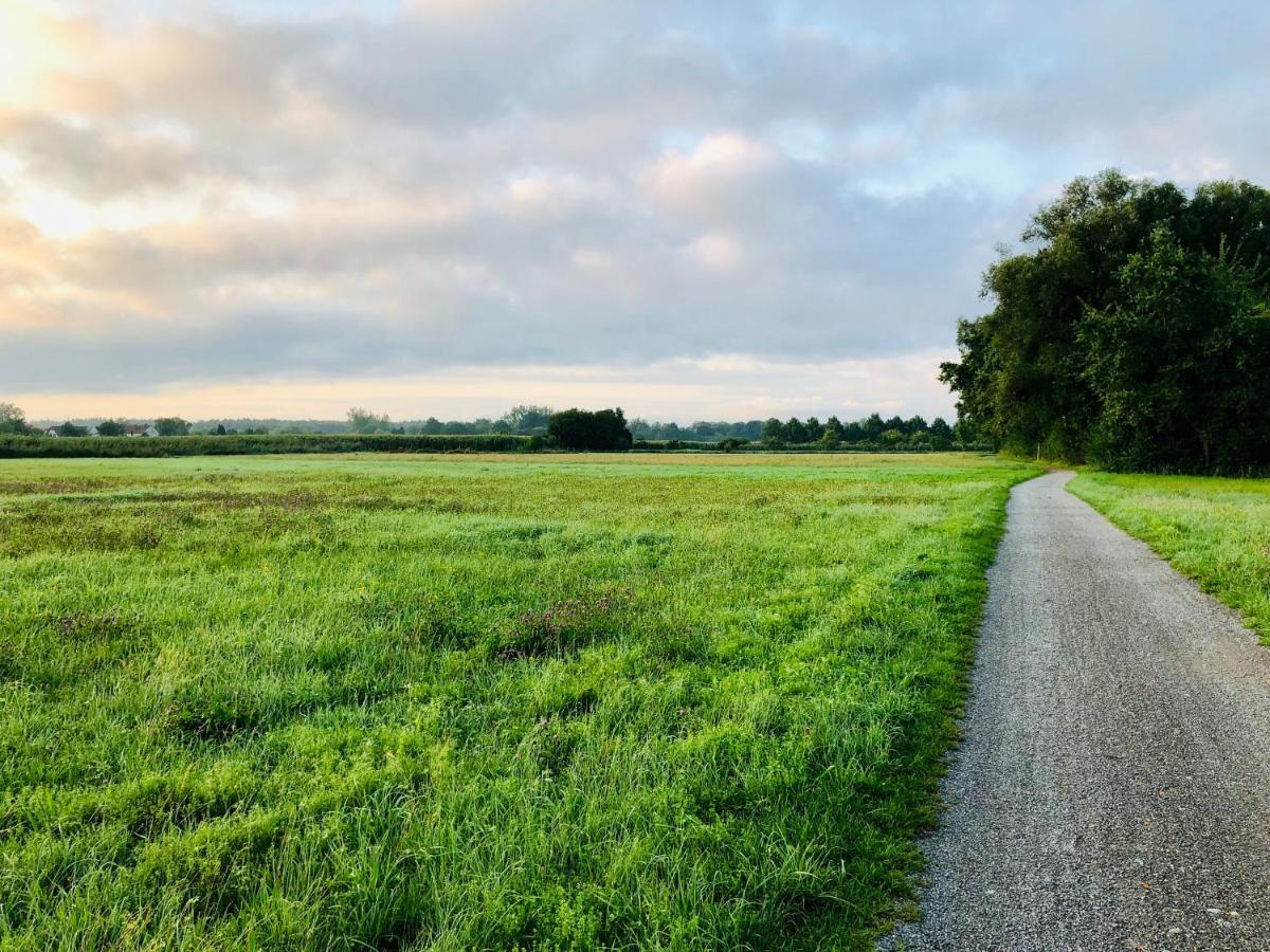 Ferien-Apartment Silberweide Mit Privatstrand FDH Eksteriør billede