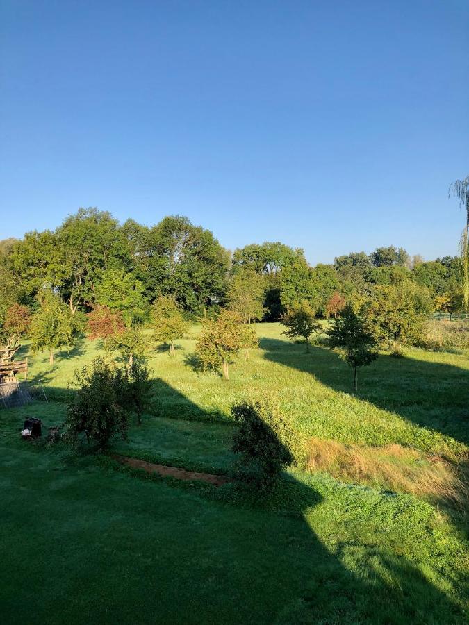 Ferien-Apartment Silberweide Mit Privatstrand FDH Eksteriør billede