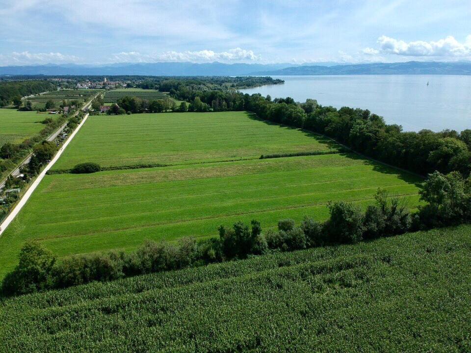 Ferien-Apartment Silberweide Mit Privatstrand FDH Eksteriør billede